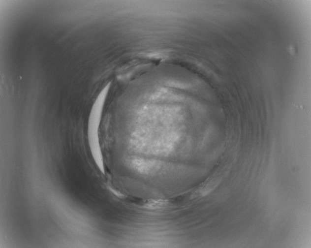 X0000065980720200603241939