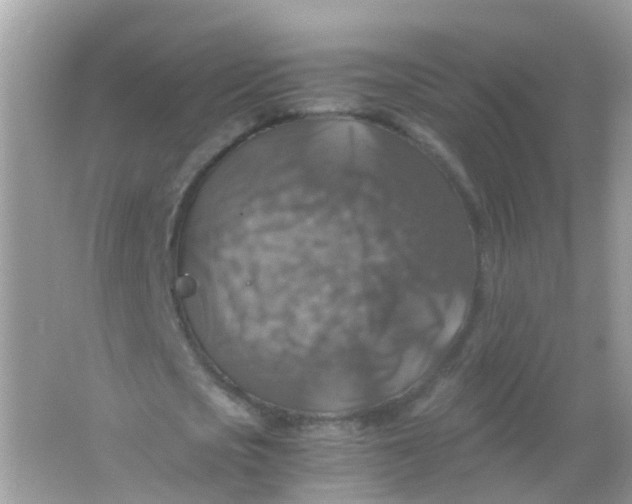 X0000065980721200603241938