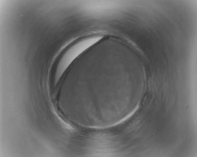 X0000065980722200603241938