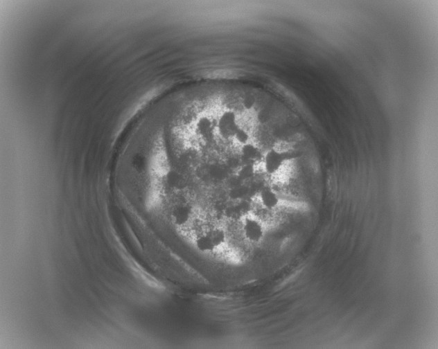 X0000065980725200603241938