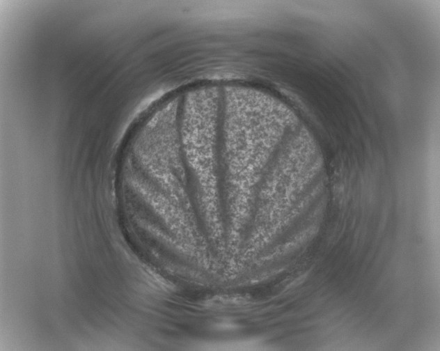 X0000065980727200603241938