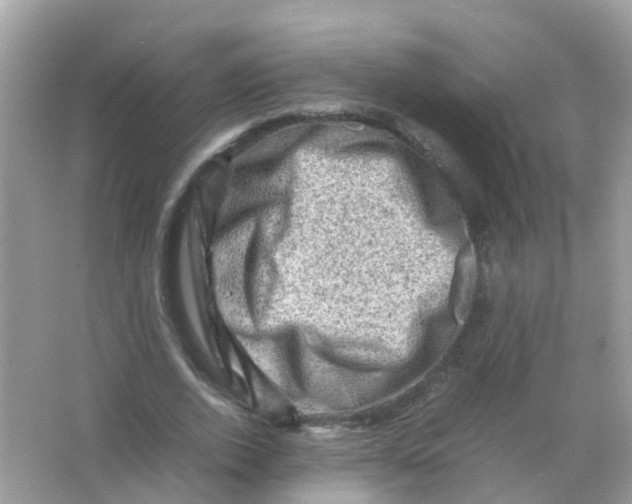 X0000065980728200603241938