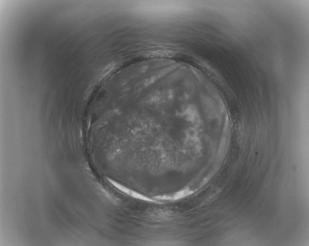 X0000065980729200603241938