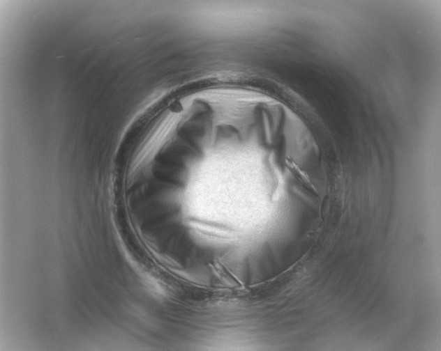 X0000065980730200603241939