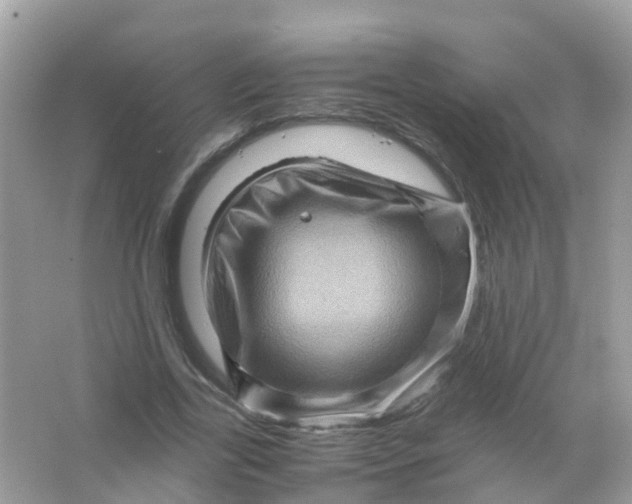 X0000065980731200603241939