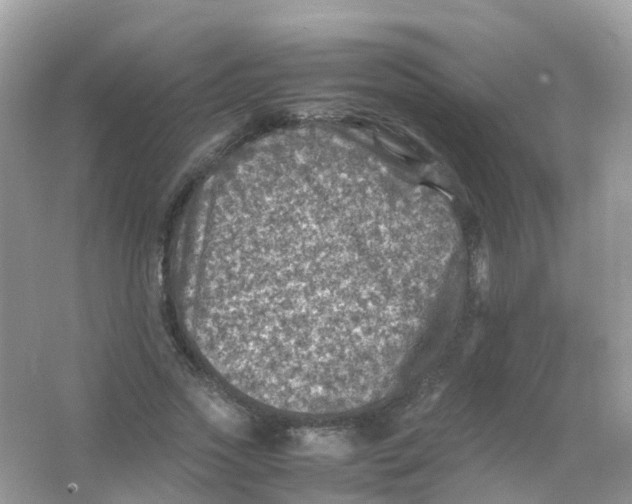 X0000065980733200603241939