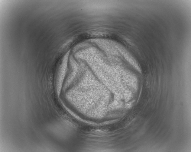 X0000065980737200603241939