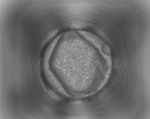 X0000065980738200603241939