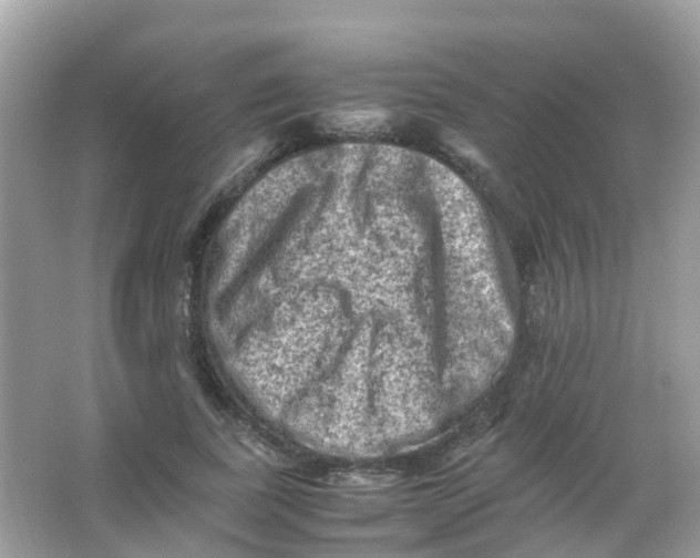 X0000065980739200603241939