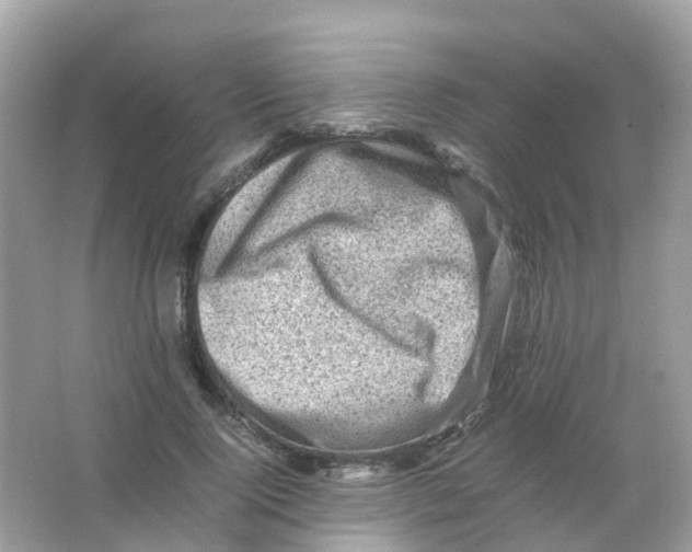 X0000065980740200603241939