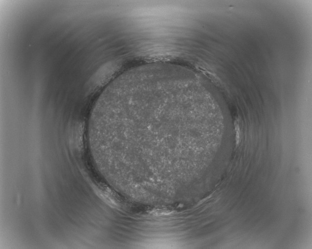 X0000065980742200603241939