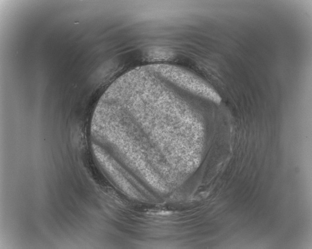 X0000065980743200603241939