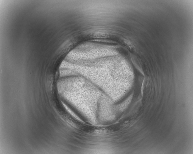 X0000065980744200603241939