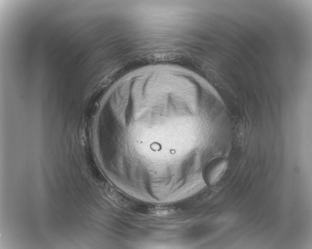 X0000065980746200603241939