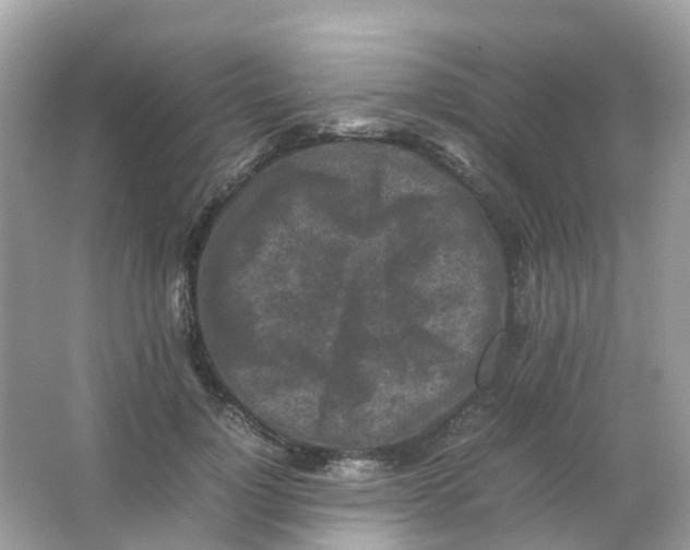 X0000065980748200603241939