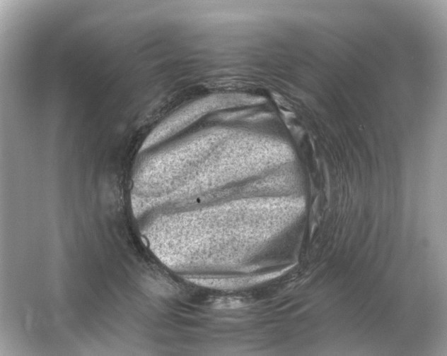 X0000065980751200603241939