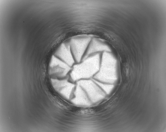 X0000065980752200603241939