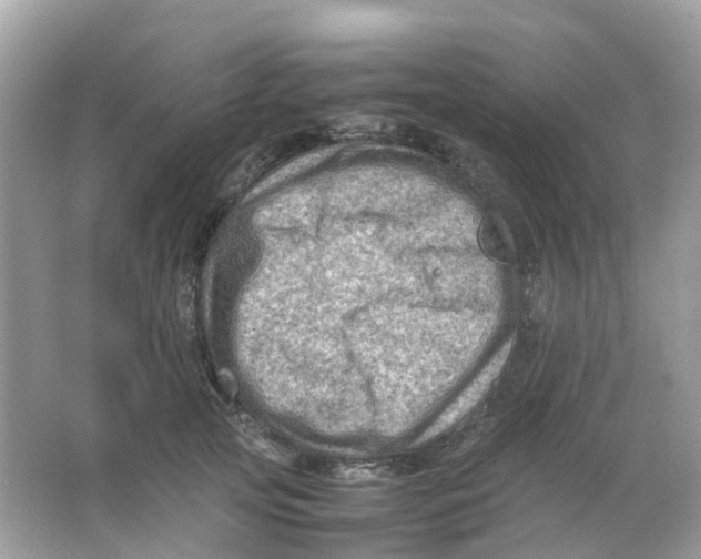 X0000065980753200603241939