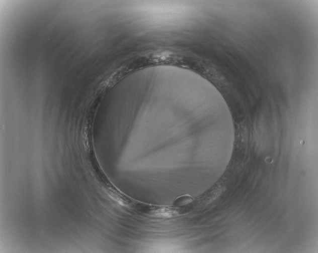 X0000065980754200603241939