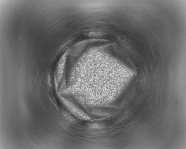 X0000065980755200603241939