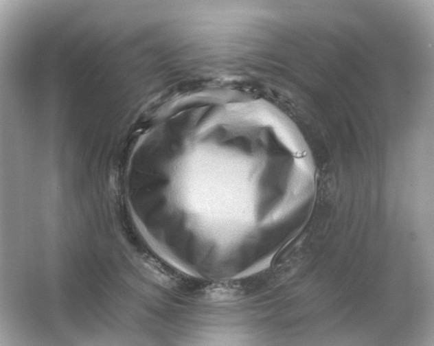 X0000065980756200603241939