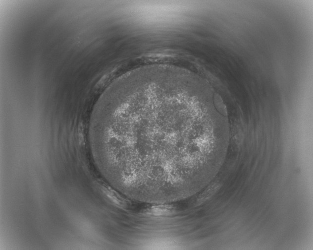 X0000065980758200603241939