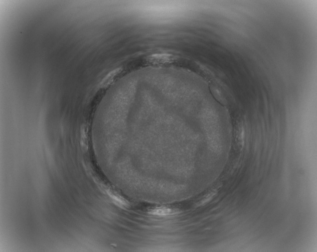 X0000065980759200603241939