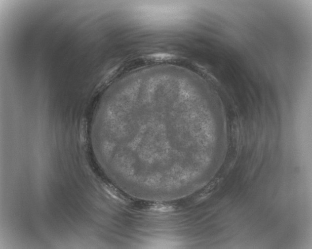 X0000065980760200603241939