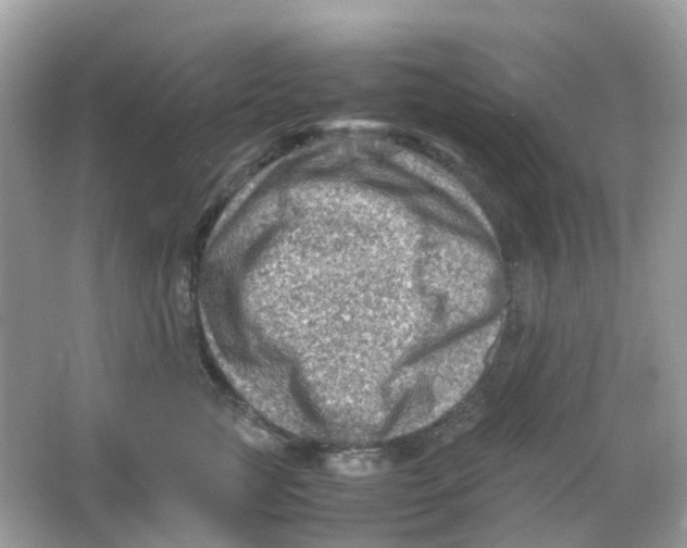 X0000065980761200603241939