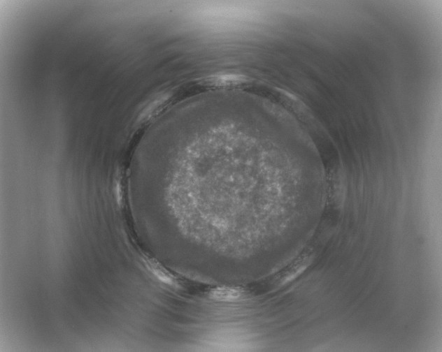 X0000065980762200603241939