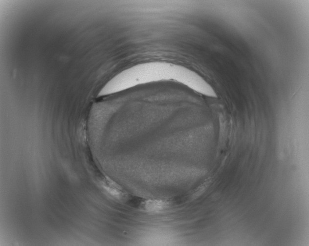 X0000065980766200603241939