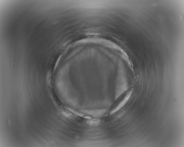 X0000065980767200603241939