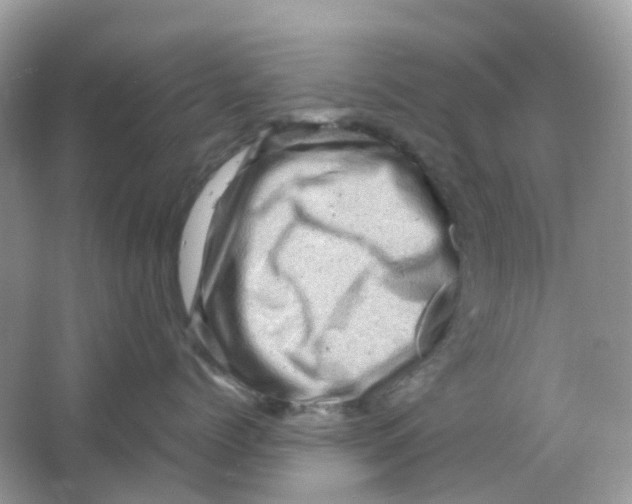 X0000065980768200603241939