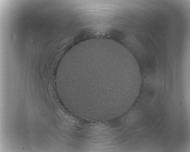 X0000065980769200603241938