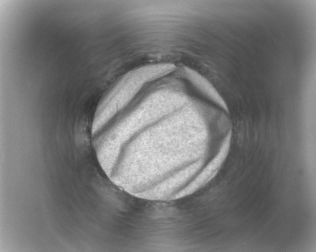 X0000065980770200603241938