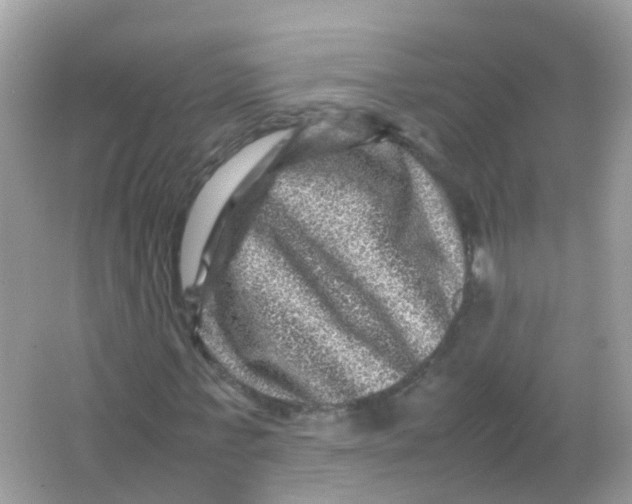 X0000065980771200603241938