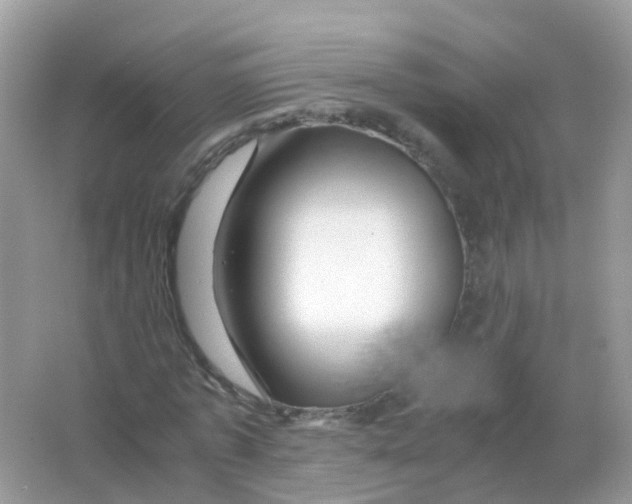 X0000065980773200603241938