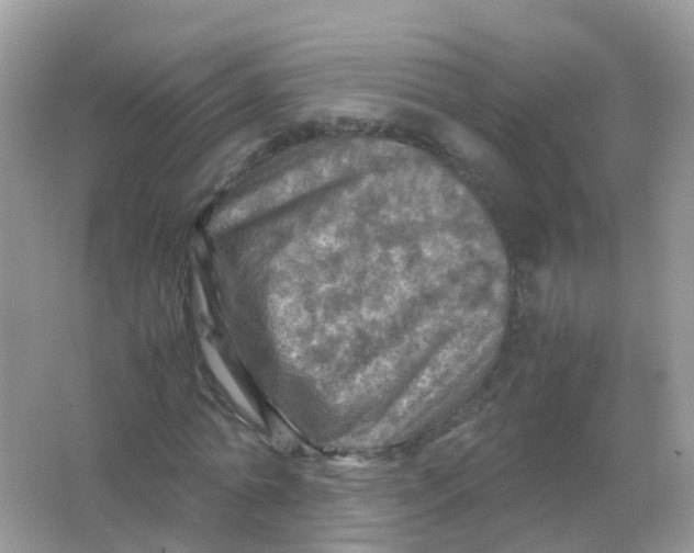 X0000065980774200603241938