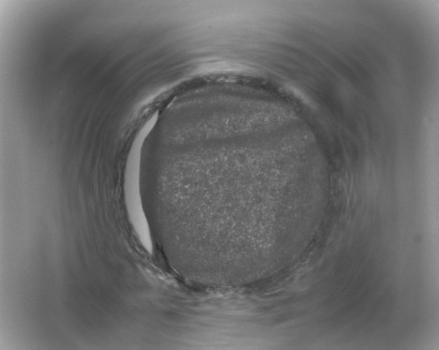 X0000065980775200603241938