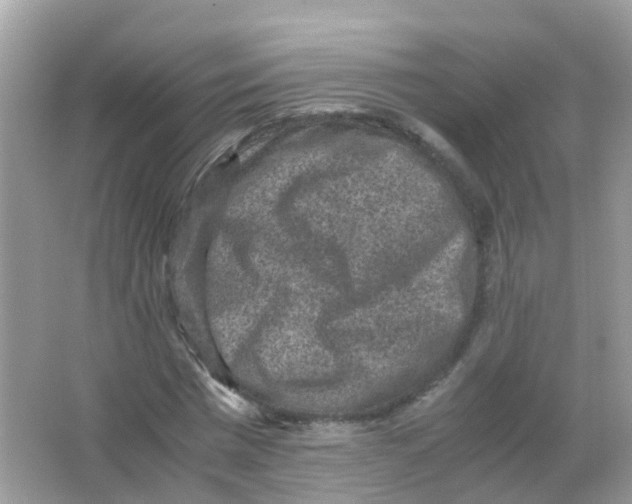 X0000065980777200603241938