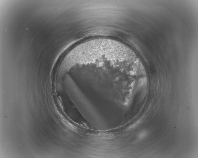 X0000065980779200603241938