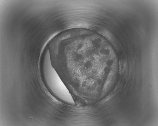 X0000065980780200603241938