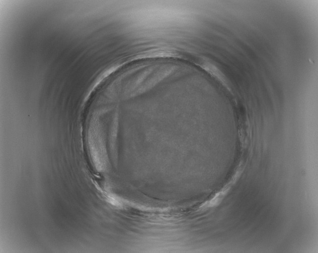 X0000065980781200603241938