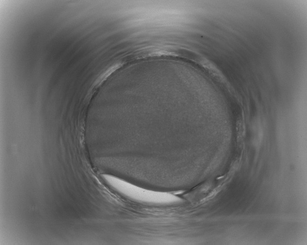 X0000065980785200603241938