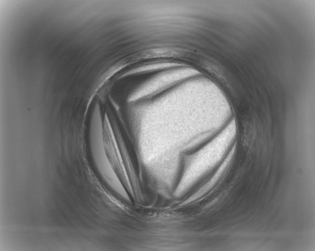 X0000065980786200603241938