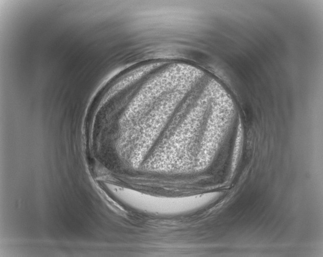 X0000065980787200603241938