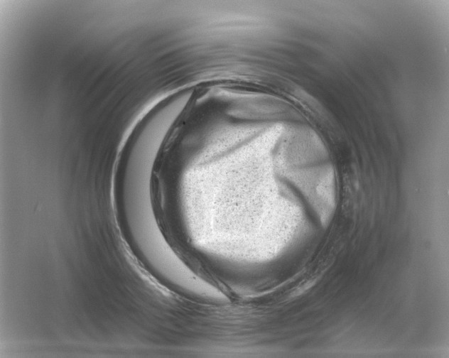 X0000065980788200603241938