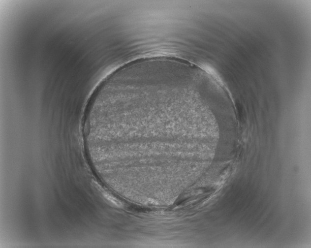 X0000065980789200603241938