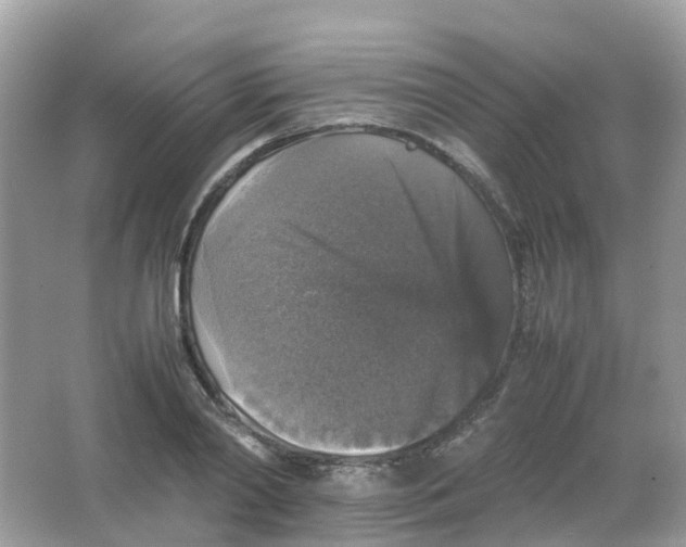 X0000065980790200603241938