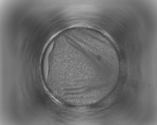 X0000065980791200603241938